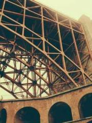 lt;Gingerly, Shen Qi