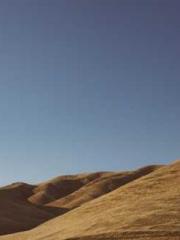 The generalapos;s yo