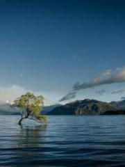 lt;lt;Legend of Yunx