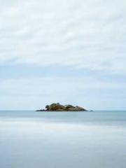 The Stand-in Wife Wa