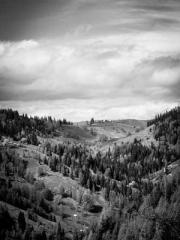 Reborn in 1989: Crea