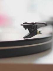 The Best Little Body