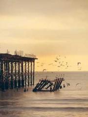 The Wife of My Heart