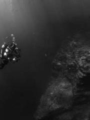 Encounter