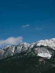 A Lifetime of Captiv