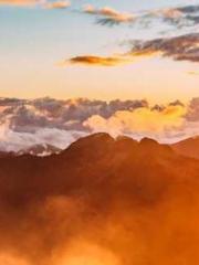 Reborn in 1989: Crea