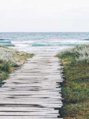 Unbound by any rules