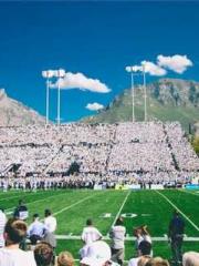 Shocking! This prota