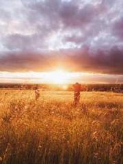 Crossing the Great Q