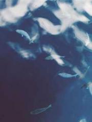 lt;lt;All in, my dec