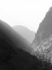 Li Qingqing and Zhao