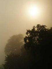 A Heavenly Gift: The