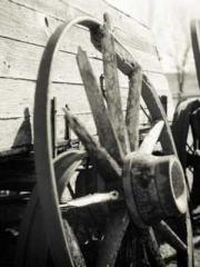 lt;The misfortune of