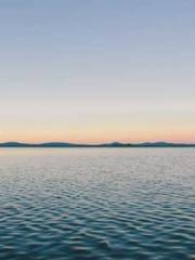 Professor Yan is goi