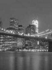 Transmigrated to the