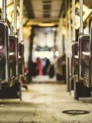 My seven stunning an