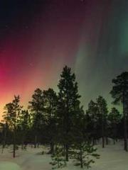 lt;Ye Qingyun, Tiany