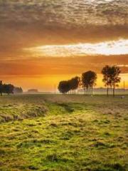 The Return of the Go