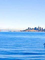 Rebirth of the Super